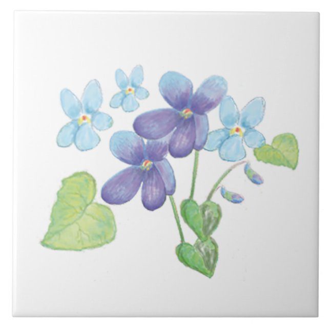 Wilde Violet-Blume - Illustration Fliese (Vorderseite)