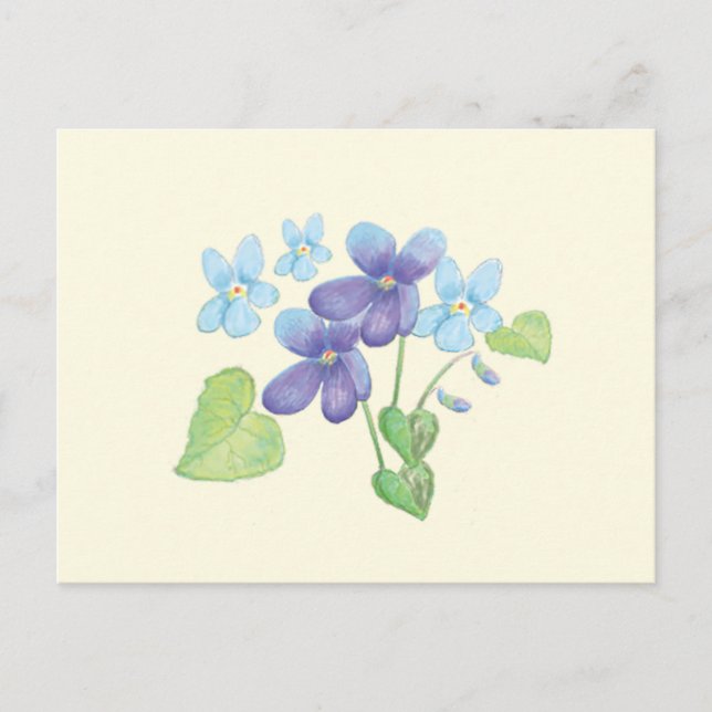 Wilde Violet-Blume - Illustration Postkarte (Vorderseite)