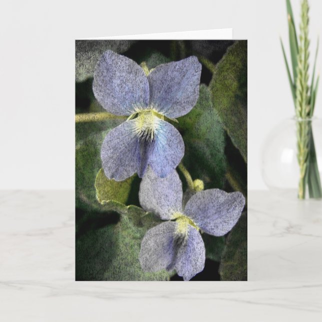 Wilde Violets Karte (Vorderseite)