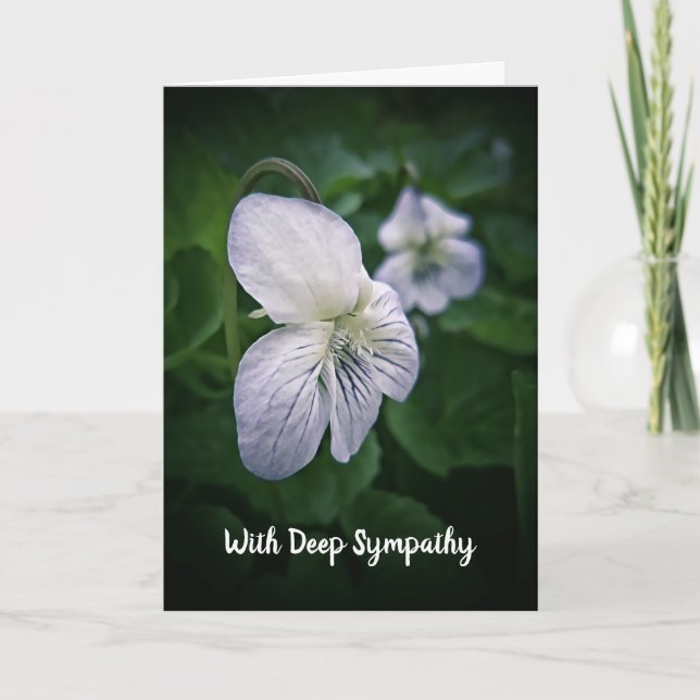 Wilde Violets Sympathiekarte Karte (Vorderseite)