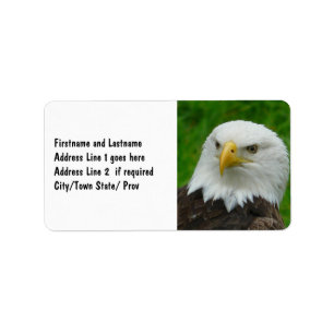 Wilde Vogel-Fotografie - amerikanischer Adressaufkleber