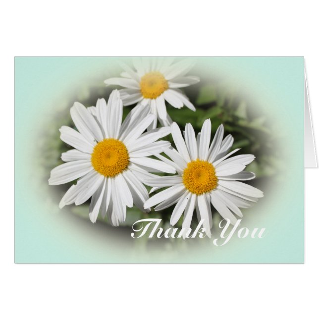 wilde, weiße Blume danke (Vorderseite (Horizontal))