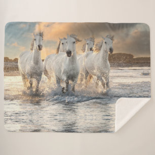 Wilde Weiße Pferde Sherpa Blanket Sherpadecke