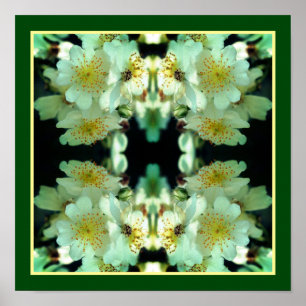 Wilde weiße wuchernde Rosen Florale Kunst abstrakt Poster