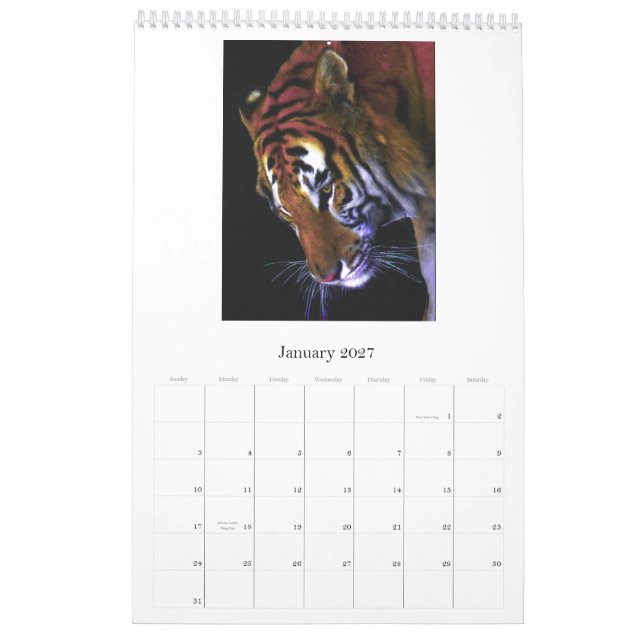 Wilde, wilde Katzen Kalender (Jan 2027)