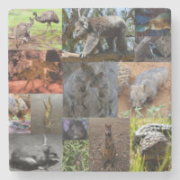 Wilde Wunder: Australische Fotocollage fesseln