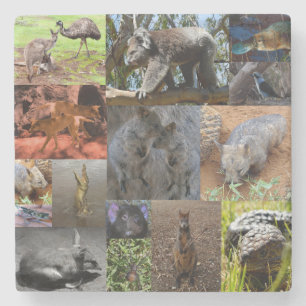 Wilde Wunder: Australische Fotocollage fesseln Steinuntersetzer