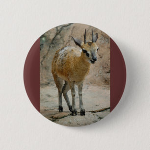 Wilde Ziegen Button