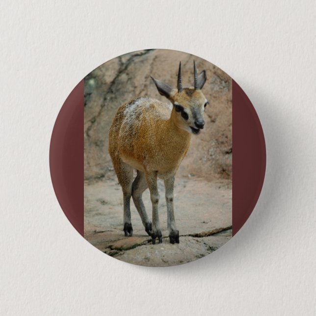 Wilde Ziegen Button (Vorderseite)