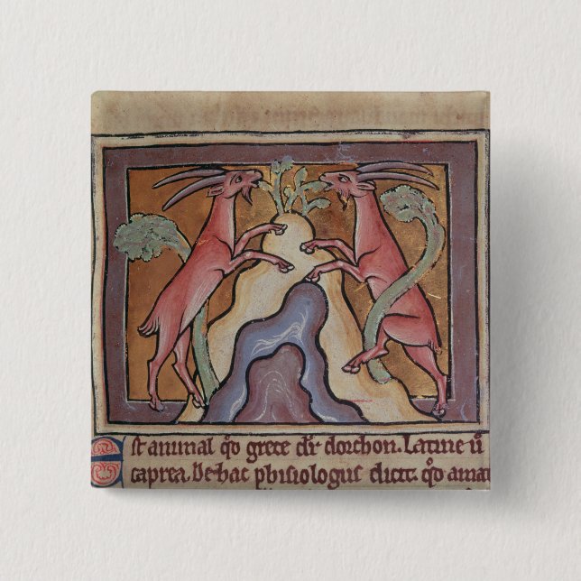Wilde Ziegen Roy von einem Bestiary Button (Vorderseite)