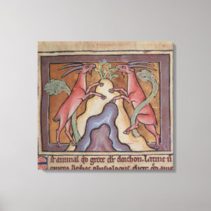 Wilde Ziegen Roy von einem Bestiary Leinwanddruck