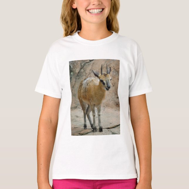Wilde Ziegen T-Shirt (Vorderseite)