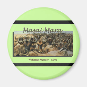 Wildebeest-/Gnumigration, Safarimagneten Magnet