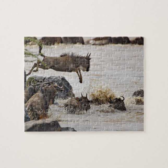 Wildebeest springt in den Mara River (Horizontal)