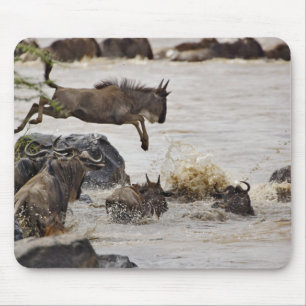 Wildebeest springt in den Mara River Mousepad