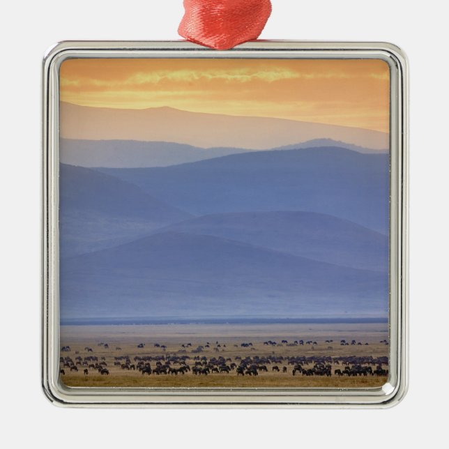 Wildebeest während der Migration, Conerneut aetes Silbernes Ornament (Vorne)