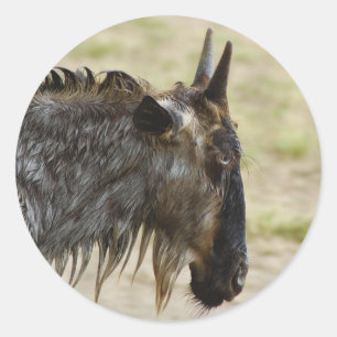 Wildebeestmigration Kenia-Tieraufkleber Runder Aufkleber