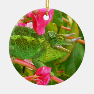 Wilden Jacksons Chamäleon auf Maui-Insel Hawaii Keramikornament