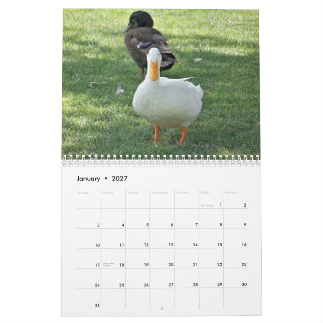 Wildenten Kalender (Jan 2027)
