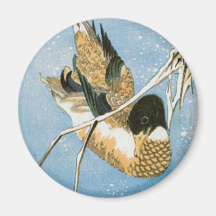 Wildenten schwimmen im Schnee beladene Schilfrohre Magnet