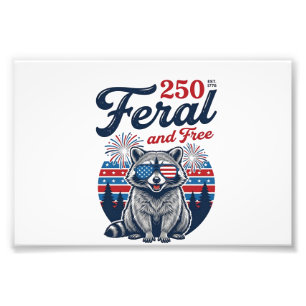 Wilder 250 und freier Waschbär patriotisches Vekto Fotodruck