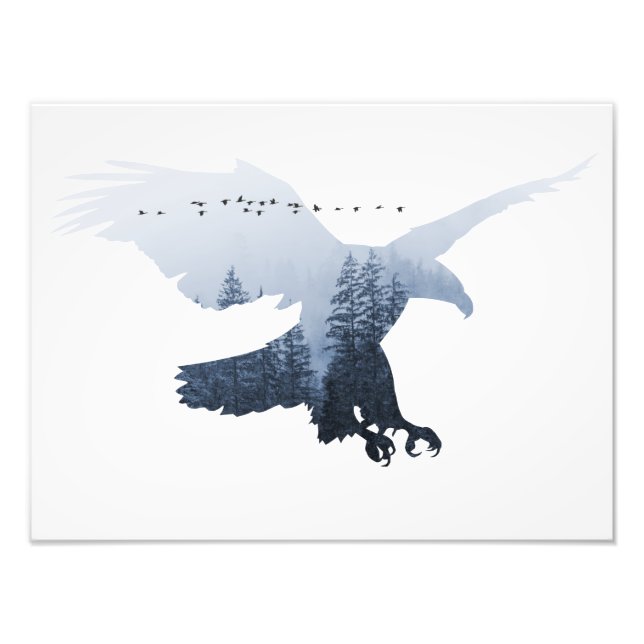 Wilder Adler Wildwald Welt Erde frei Fotodruck (Vorne)