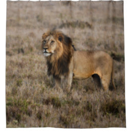 Wilder afrikanischer Löwenduschvorhang Duschvorhang