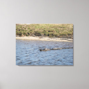 Wilder Alligator am Flussufer – Florida Wildlife Leinwanddruck