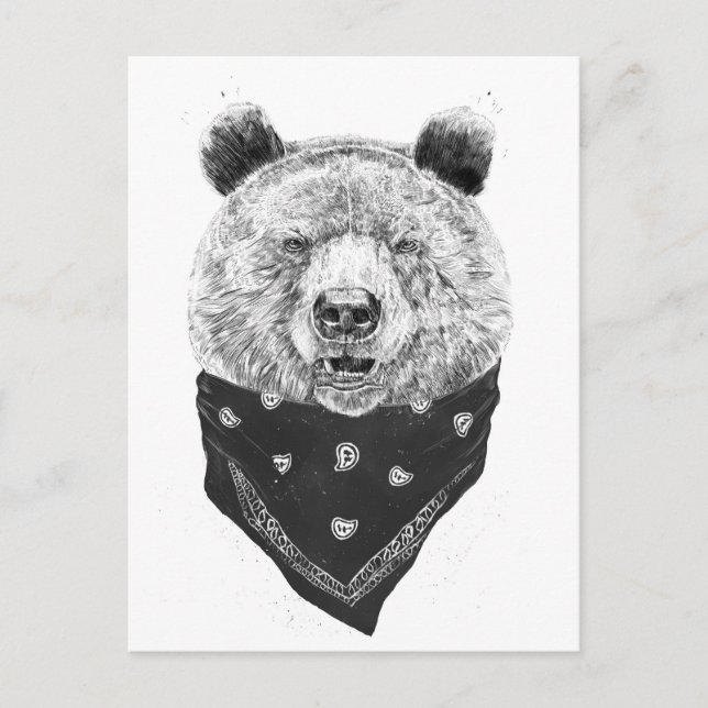 Wilder Bär Postkarte (Vorderseite)