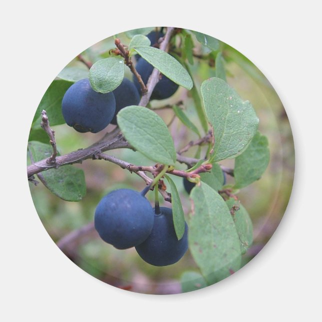 Wilder Berries-Magnet Magnet (Vorne)