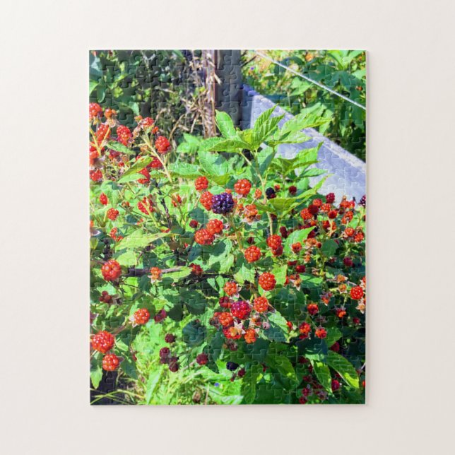 Wilder BlackBerry Patch (Vertikal)