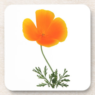 wilder Blumen-Untersetzer Untersetzer