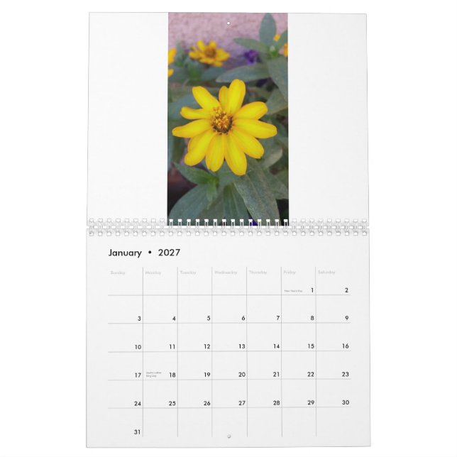 wilder Blumenkalender Kalender (Jan 2027)