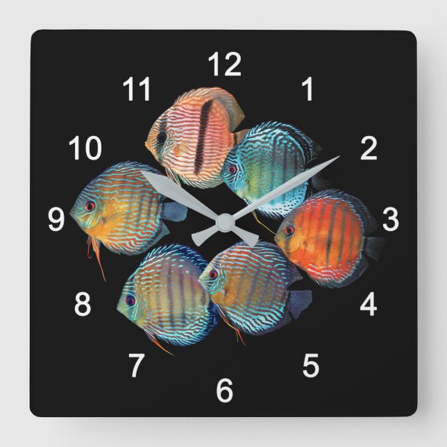 Wilder Diskus Quadratische Wanduhr (Vorderseite)