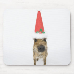 Wilder Eber mit Weihnachtshut Mousepad