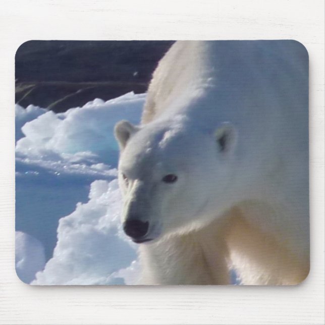 Wilder Eisbär in Svalbard, (Spitzbergen) Mousepad (Vorne)