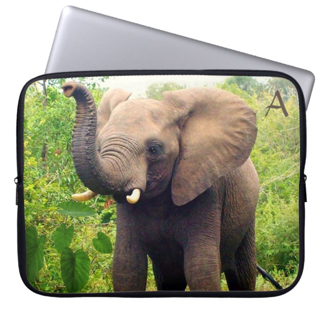 Wilder Elefant mit tropischen Pflanze und Monogram Laptopschutzhülle (Vorderseite)