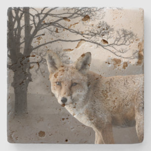 Wilder Fox-Fotografie-Stein-Untersetzer Steinuntersetzer