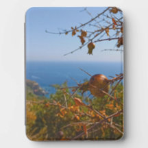Wilder Granatapfel Sonniges Montenegro Sommer