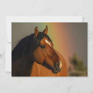 Wilder Hengst, Goldenes Licht und Regenbogen Dankeskarte