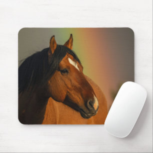 Wilder Hengst, Goldenes Licht und Regenbogen Mousepad