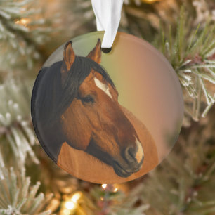 Wilder Hengst, Goldenes Licht und Regenbogen Ornament