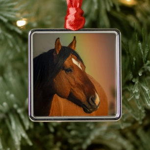 Wilder Hengst, Goldenes Licht und Regenbogen Ornament Aus Metall