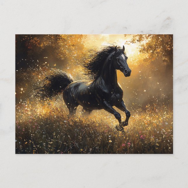 Wilder Hengst Schwarzer Hengst Mustang Postkarte (Vorderseite)