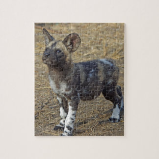 Wilder Hundewelpe