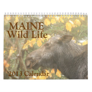 Wilder Kalender Maines Leben-2013