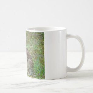 Wilder Kaninchen Östliches Baumwollschwanzkaninche Kaffeetasse