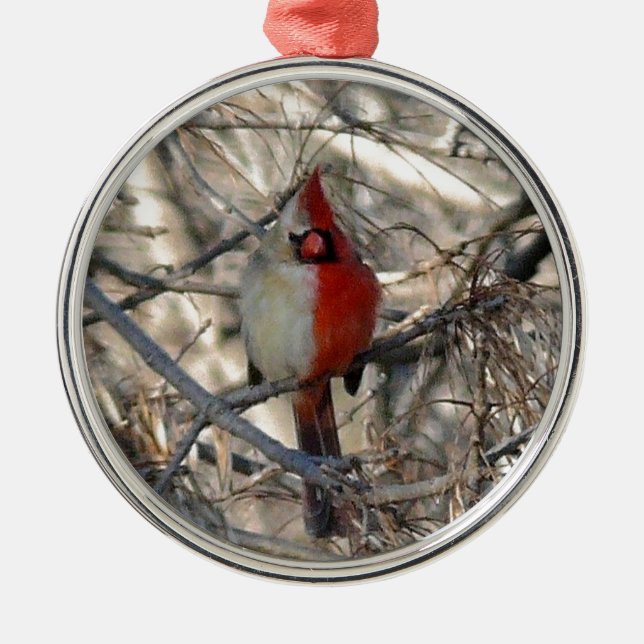Wilder Kardinals-Vogel-halber Mann, halb weiblich Ornament Aus Metall (Vorne)