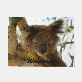 Wilder Koala, der auf Eukalyptusbaum, Foto schläft Fußmatte
