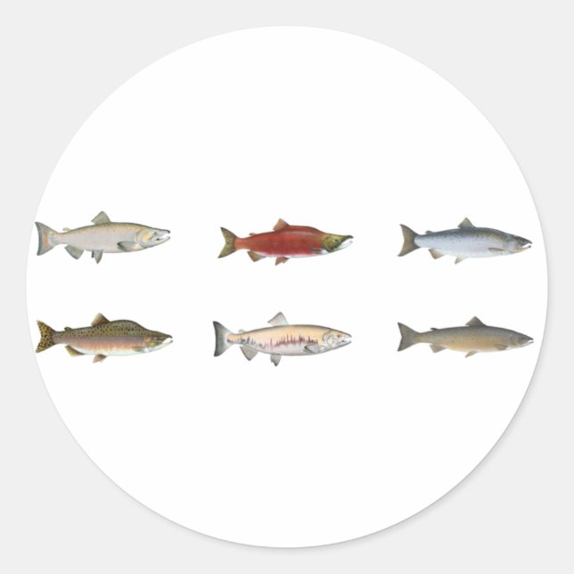 Wilder Lachs Runder Aufkleber (Vorderseite)